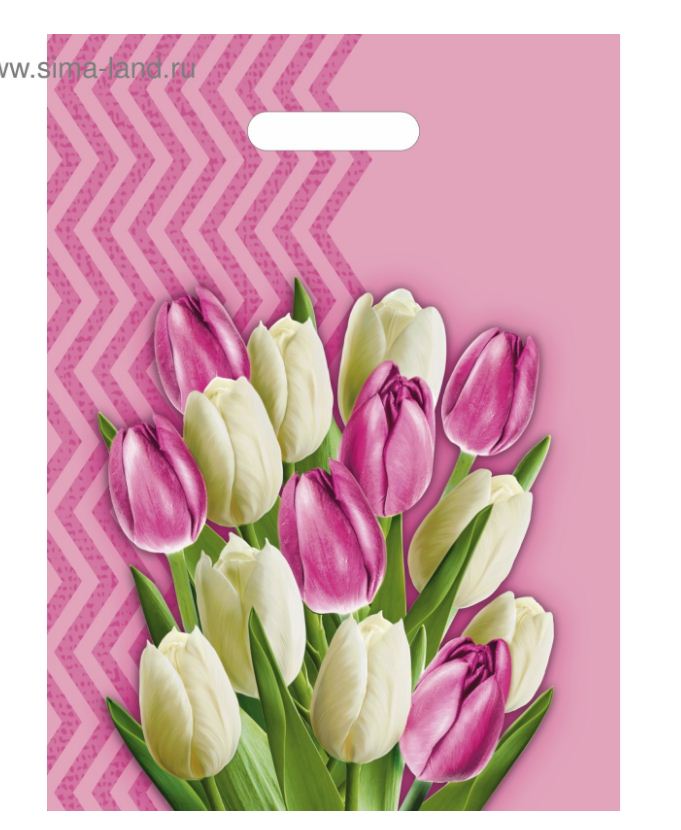 Пакет "Диана" полиэтиленовый с вырубной ручкой,  МИКС 30х40 см, 50 мкм									