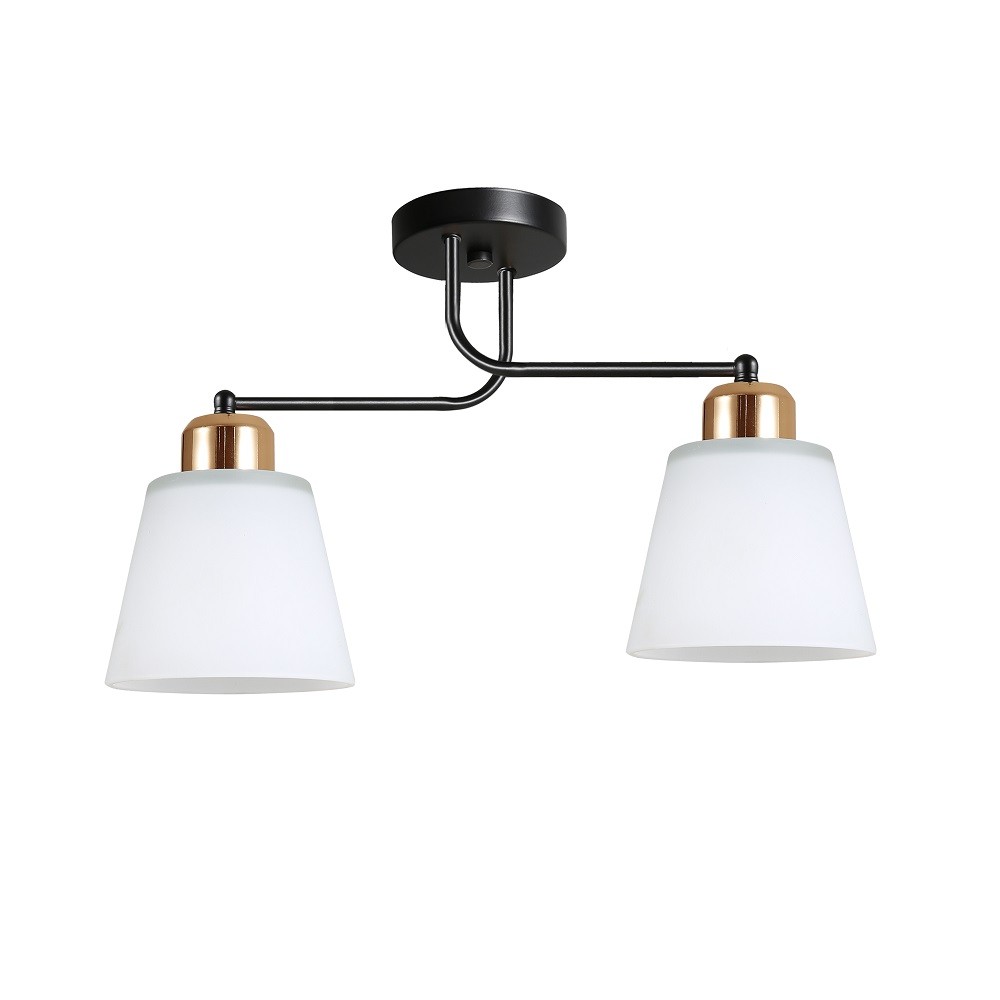 Светильник потолочный 12197/2BK+GD WT в стиле модерн (4м2)