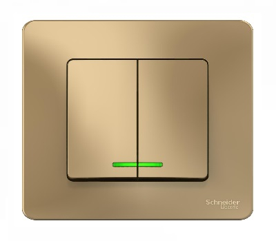 Выключатель Титан Скрытой установки 2-х клав С подсветкой  BLANCA Schneider (10)