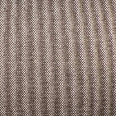 Ковровое покрытие BERBER 01_015_1506 - 3,0м купить в интернет магазине Вегос-М в Чите